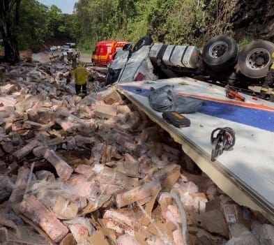 Caminhoneiro morre após carreta capotar e é encontrado sob carga de suínos em SC
