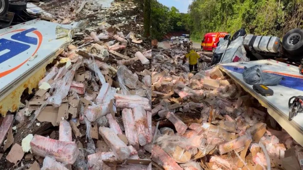 Caminhoneiro morre após carreta capotar e é encontrado sob carga de suínos em SC Caminhoneiro morre após carreta capotar e é encontrado sob carga de suínos em SC