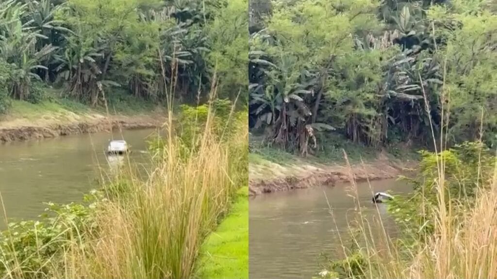 Após ser demitido, homem tem surto, diz estar sendo perseguido e cai com carro em rio de Brusque Após ser demitido, homem tem surto, diz estar sendo perseguido e cai com carro em rio de Brusque