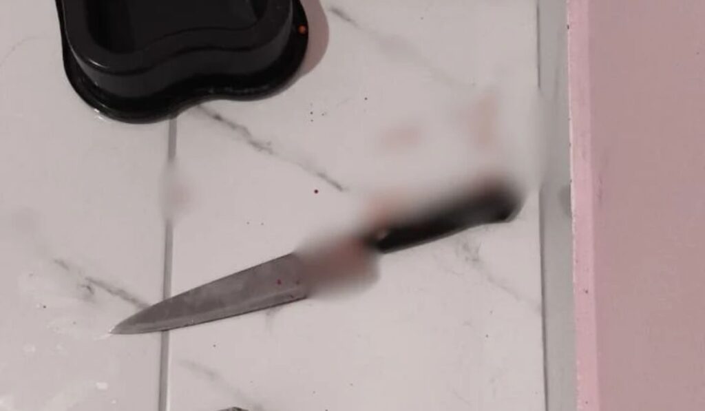 Mulher é esfaqueada pelo companheiro enquanto dormia, foge com faca cravada no ombro e pede socorro à vizinha em SC Mulher é esfaqueada pelo companheiro enquanto dormia, foge com faca cravada no ombro e pede socorro à vizinha em SC